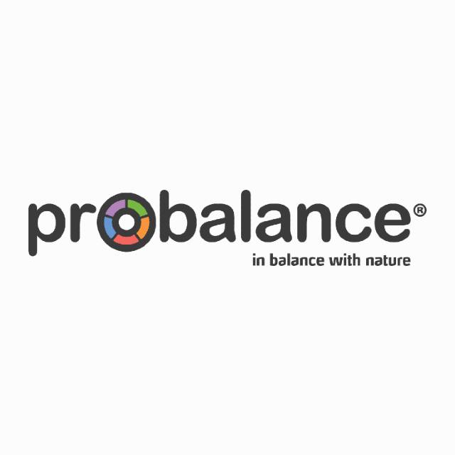 ProBalance